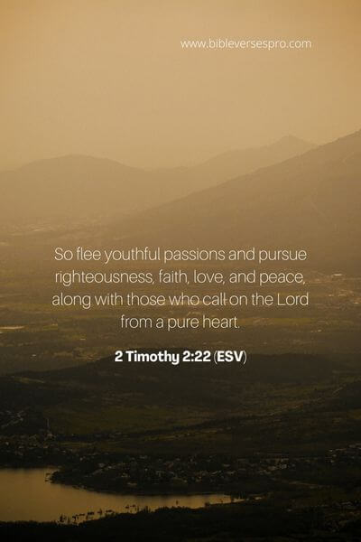 2 Timothy 2_22 (Esv)