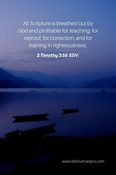 2 Timothy 3_16 (Esv) 