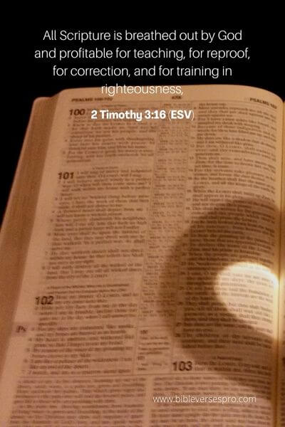 2 Timothy 3_16 (ESV)