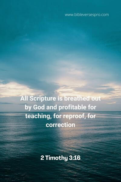 2 Timothy 3_16