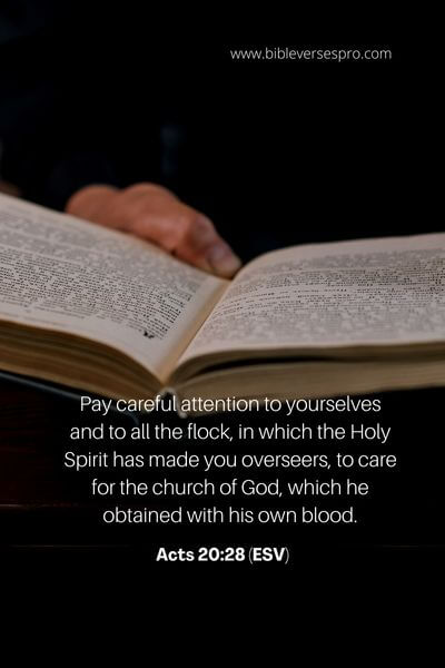 Acts 20_28 (Esv)