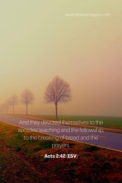 Acts 2_42 (Esv)