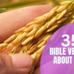 BIBLE VERSES ABOUT FALL