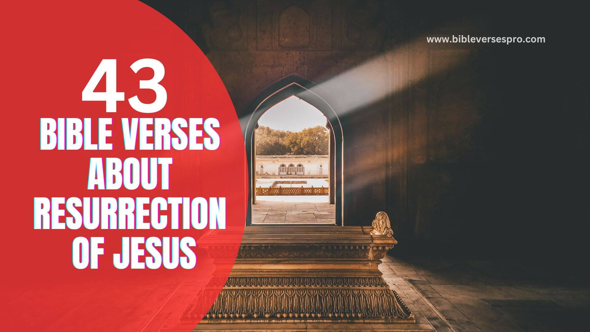 Bible Verses About Resurrection Of Jesus