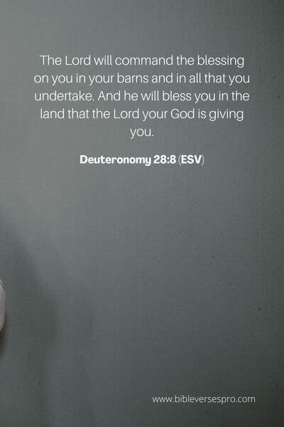Deuteronomy 28_8 (Esv)