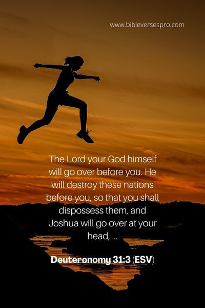 Deuteronomy 31_3 (Esv)