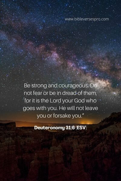 Deuteronomy 31_6 (Esv)