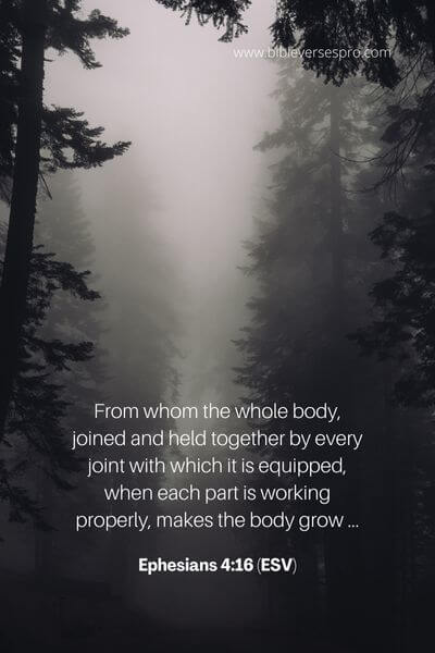 Ephesians 4_16 (Esv)