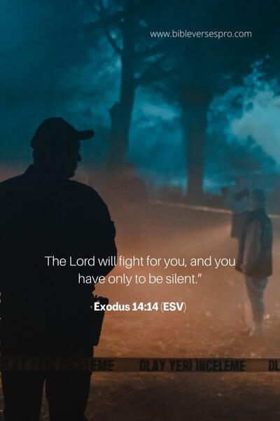 Exodus 14_14 (Esv)