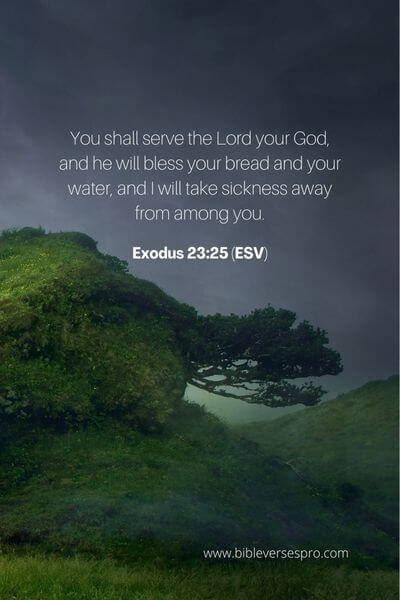 Exodus 23_25 (Esv)