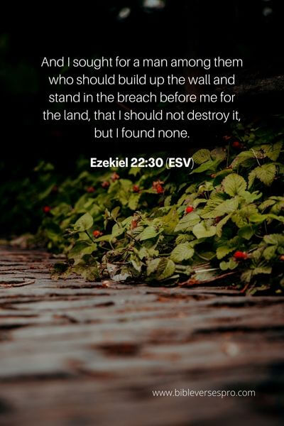 Ezekiel 22_30 (Esv)