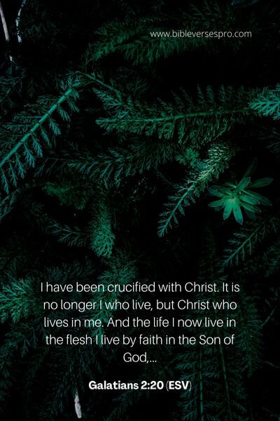 Galatians 2_20 (ESV)