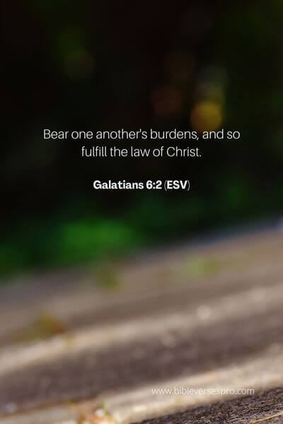 Galatians 6_2 (Esv)