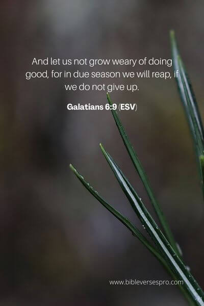 Galatians 6_9 (Esv) (1)