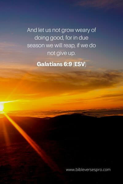 Galatians 6_9 (Esv) 