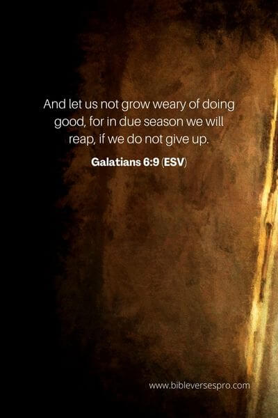 Galatians 6_9 (ESV)
