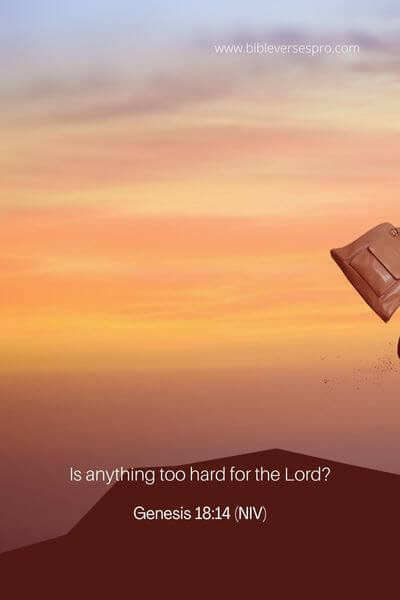 Genesis 18_14 (NIV)