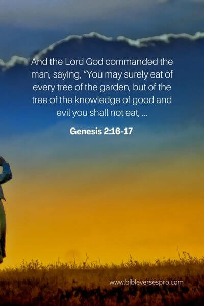Genesis 2_16-17 