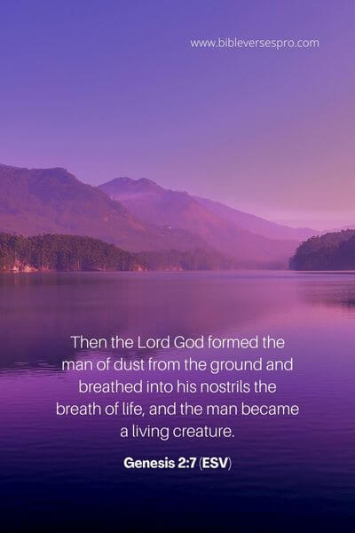 Genesis 2_7 (ESV)