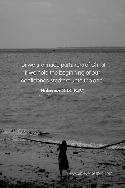 Hebrews 3_14 (Kjv)