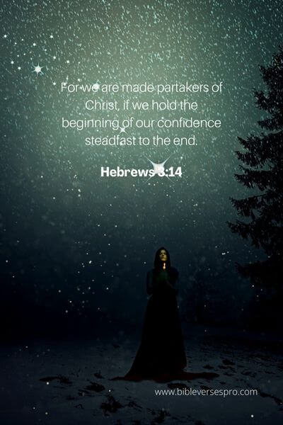 Hebrews 3_14