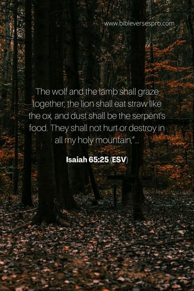 Isaiah 65_25 (Esv)