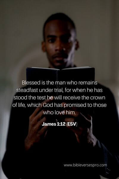 James 1_12 (Esv)