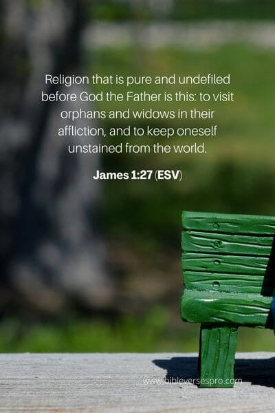 James 1_27 (Esv)