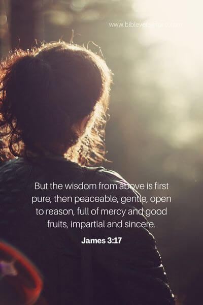 James 3_17 
