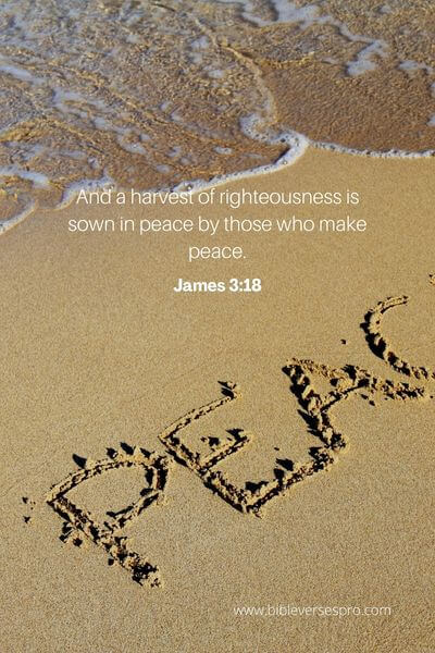 James 3_18