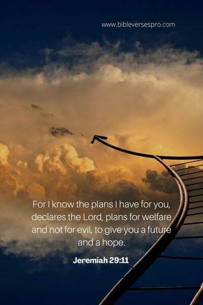 Jeremiah 29_11 