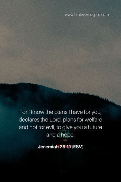 Jeremiah 29_11 (Esv) (1)