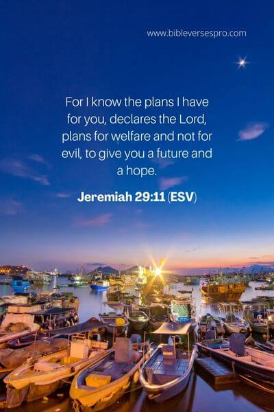 Jeremiah 29_11 (Esv) (1)