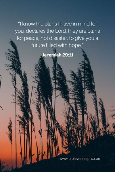 Jeremiah 29_11