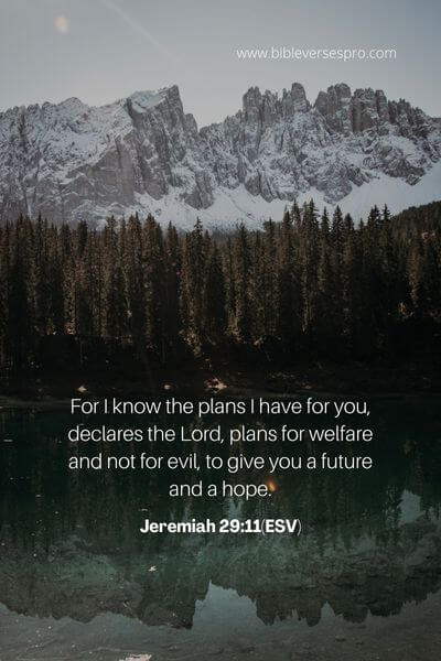 Jeremiah 29_11(Esv) (1)