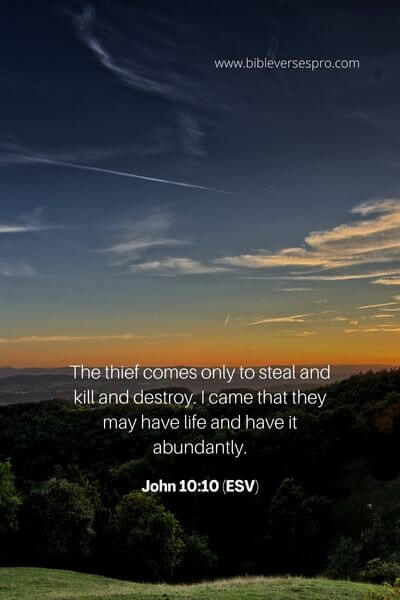 John 10_10 (ESV)