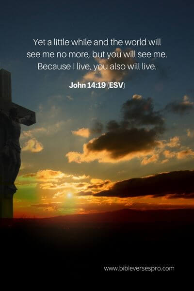 John 14_19 (Esv)