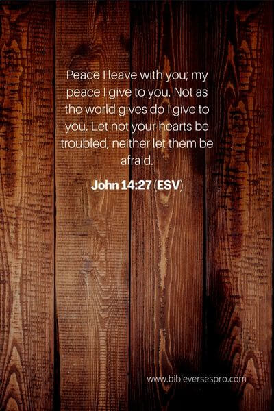 John 14_27 (ESV)
