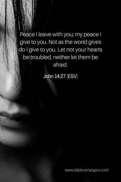 John 14_27 (Esv)