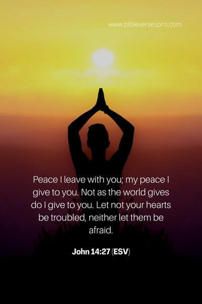 John 14_27 (Esv)