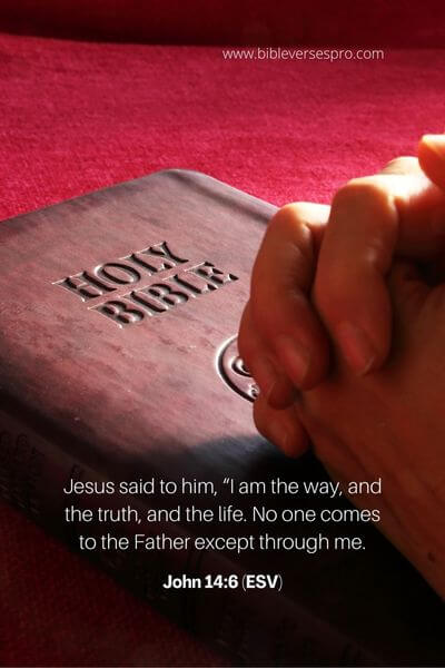 John 14_6 (ESV) 