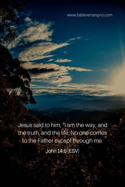John 14_6 (ESV) (2)