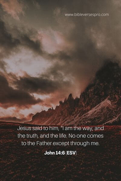 John 14_6 (ESV) (3)