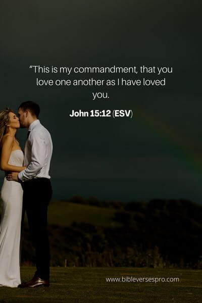 63 Bible Verses For Wedding Anniversary - Bible Verses