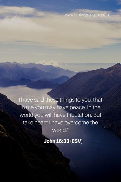 John 16_33 (Esv) (1)