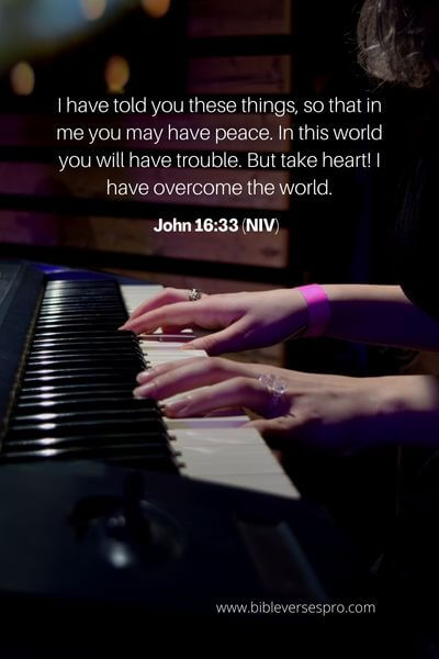 John 16_33 (Niv)