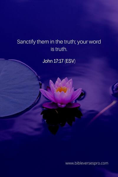 John 17_17 (Esv)