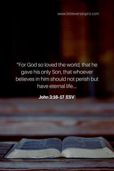 John 3_16-17 (Esv) 