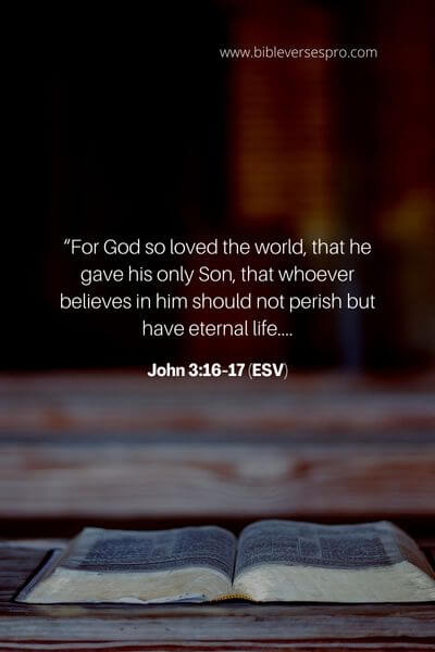 John 3_16-17 (ESV) 