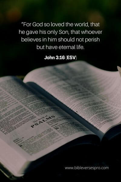 John 3_16 (ESV) 